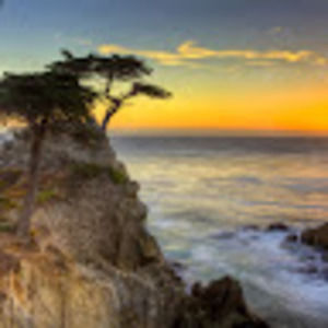 Meet your Posher, Tom